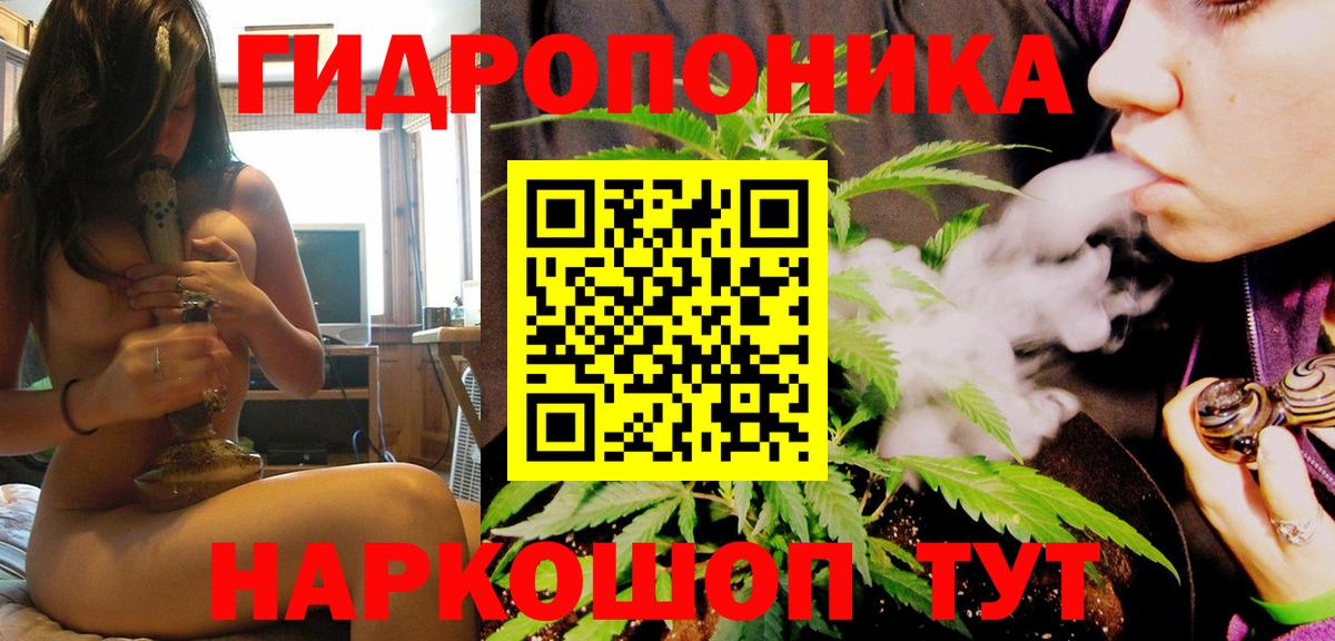 Новосибирск  Бошки марихуана White Widow  Вход с VPN  Бошки Шишки MAZAR  Бошки марихуана White Widow 